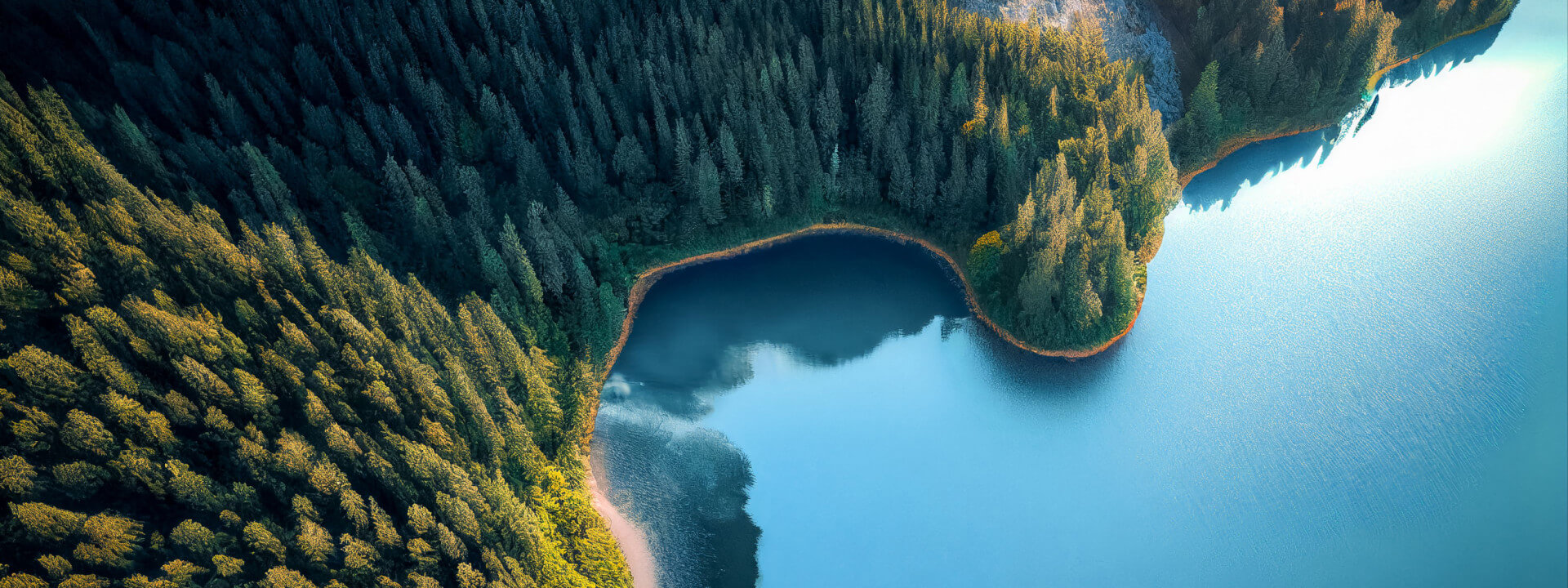 Annual Company Retreat 2026 cover image